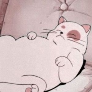 Meet your Posher, Ash